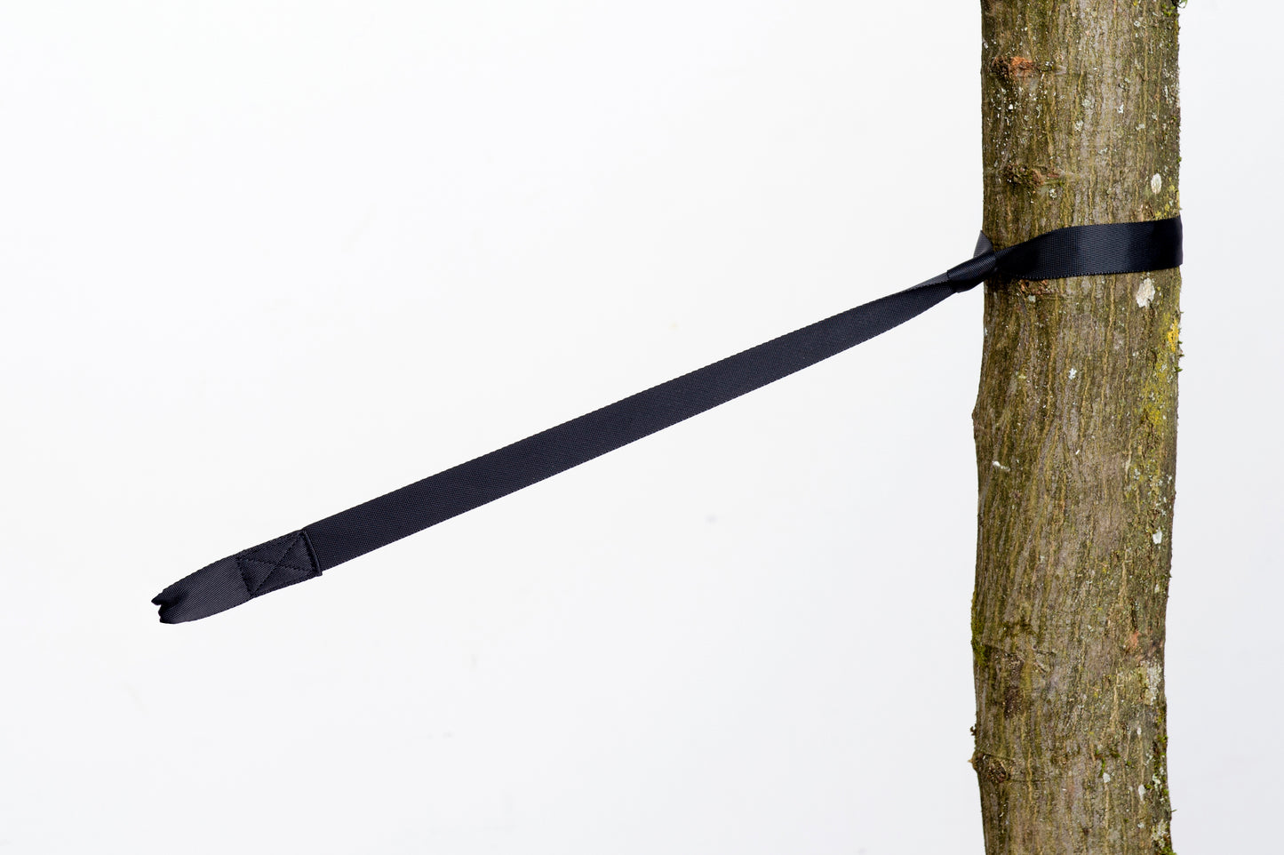 Šūpuļtīkla stiprināšanas siksnas Amazonas Tree Protection