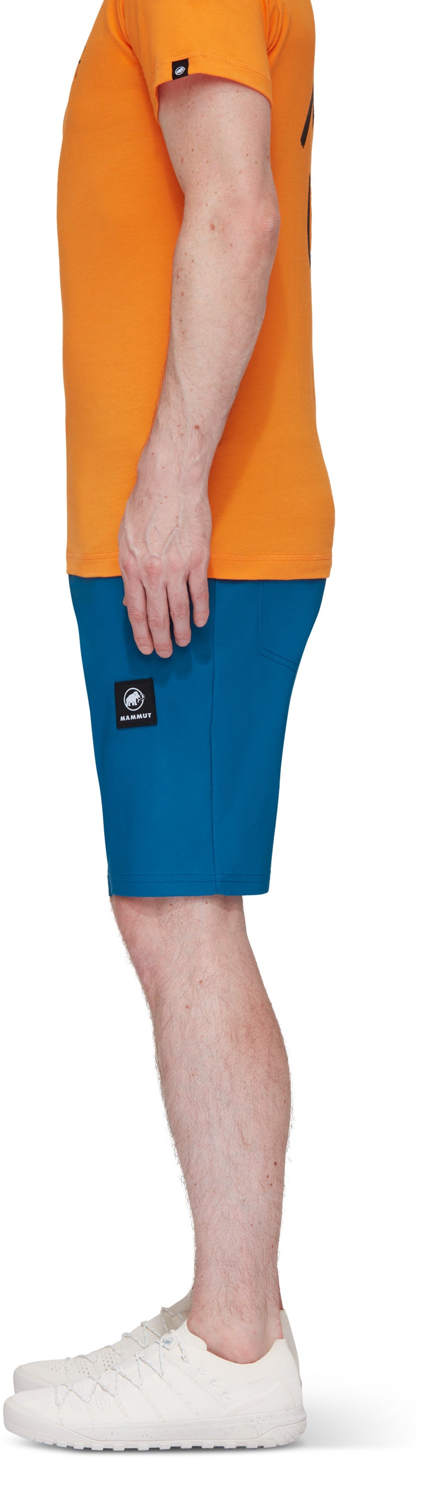 mammut sorti massone viriesu