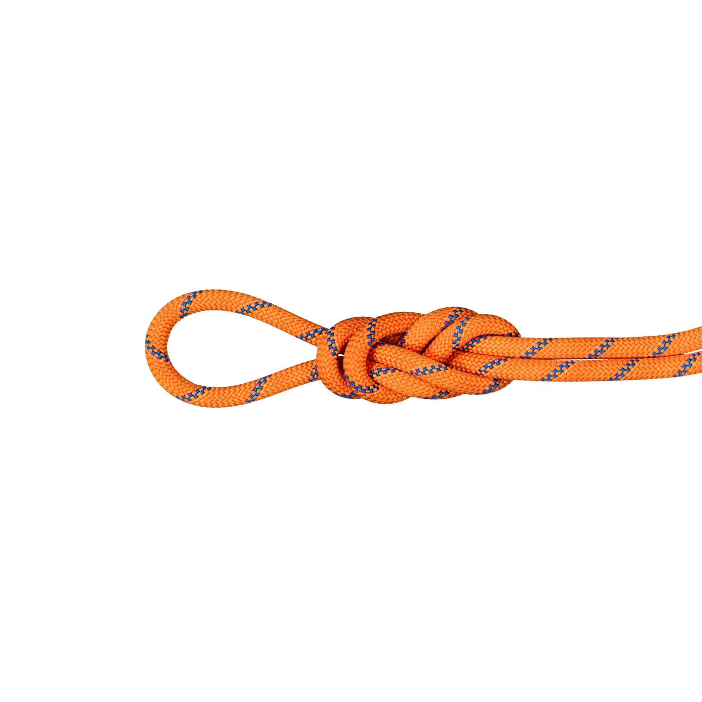 Virve Mammut Alpine Sender Dry 9 mm