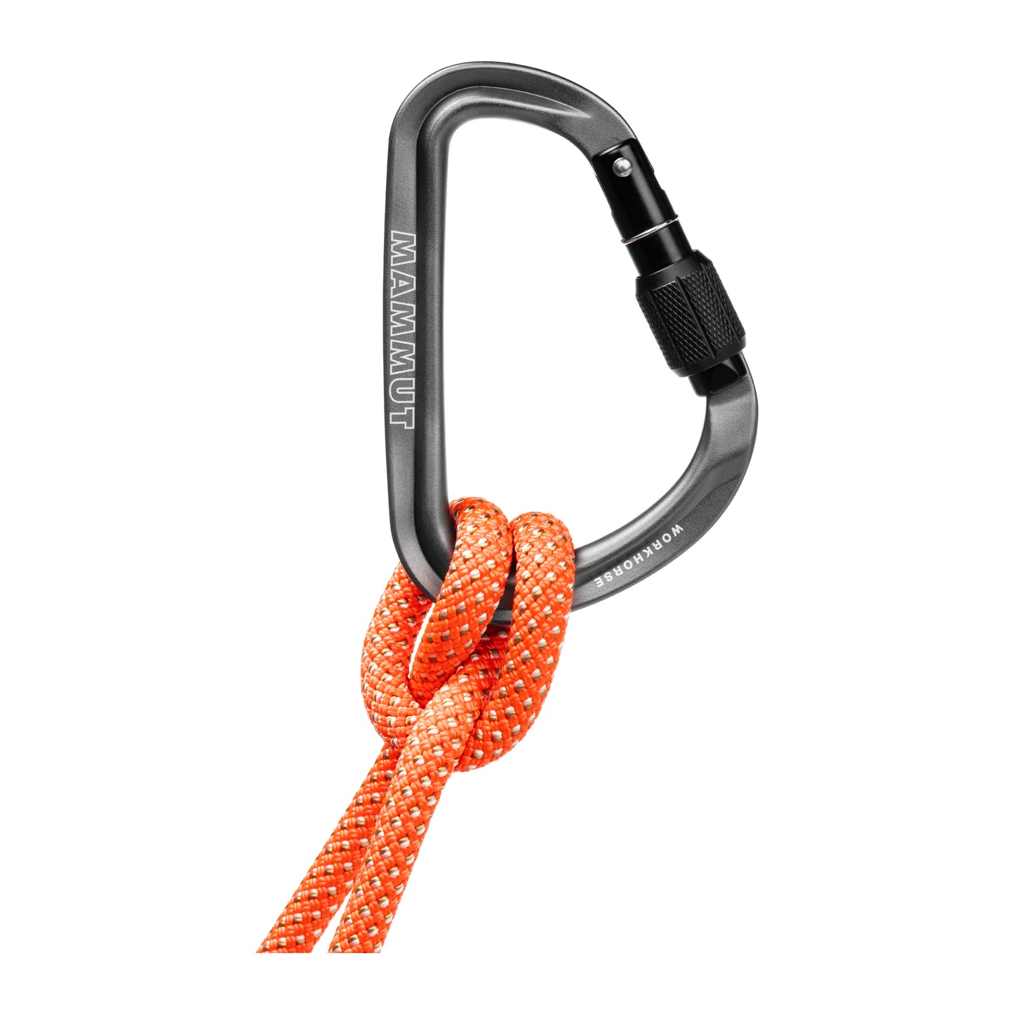 karabine mammut workhorse hms screwgate