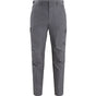 Bikses Icebreaker Hike pants Monsoon