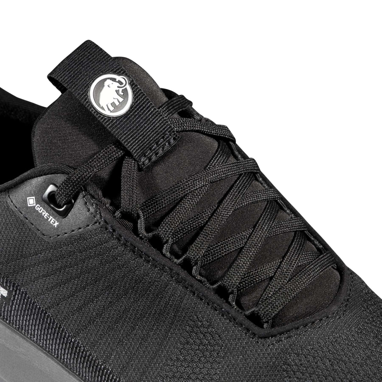 Mammut shoes Aenergy Mtn Low Gore-Tex men's