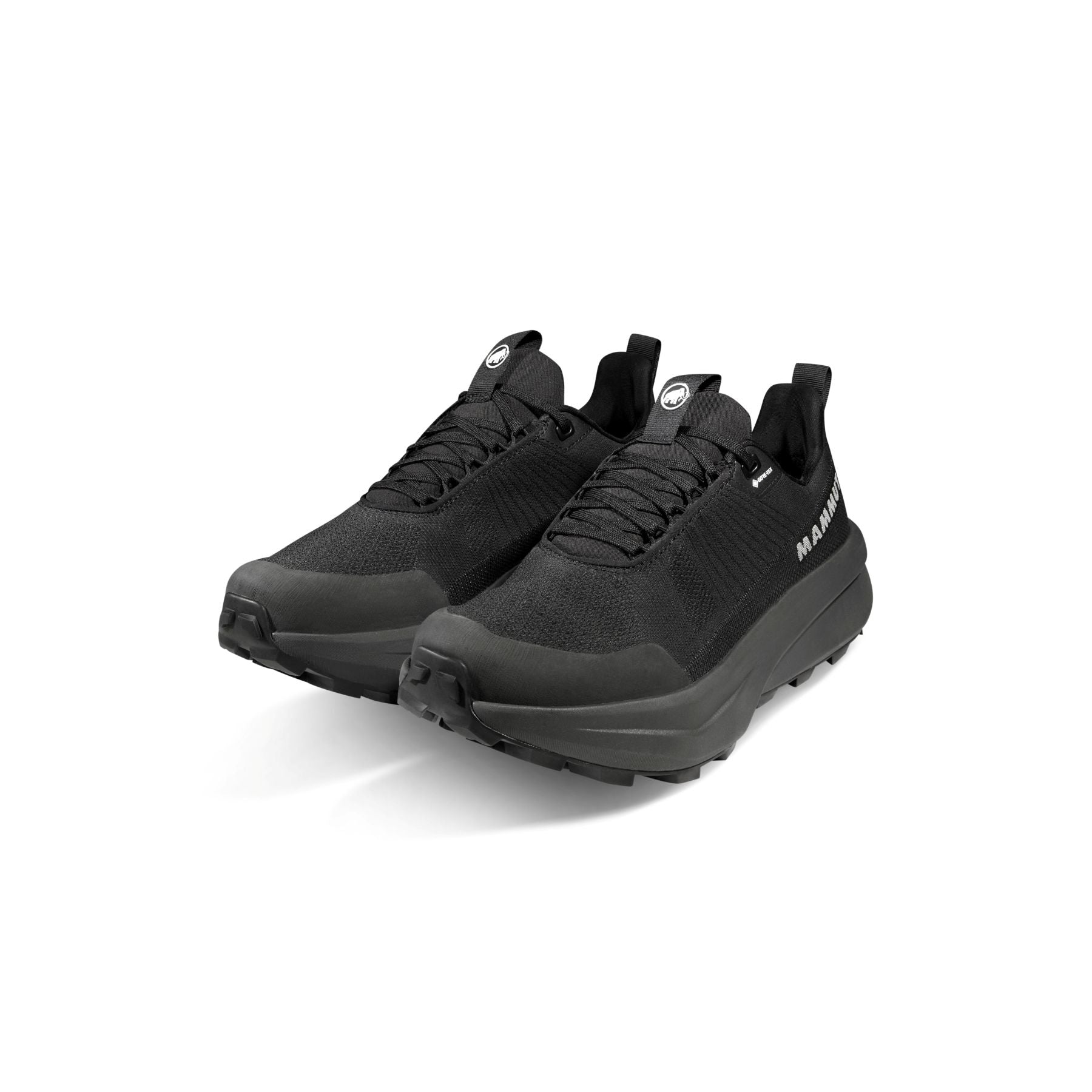 Mammut shoes Aenergy Mtn Low Gore-Tex men's