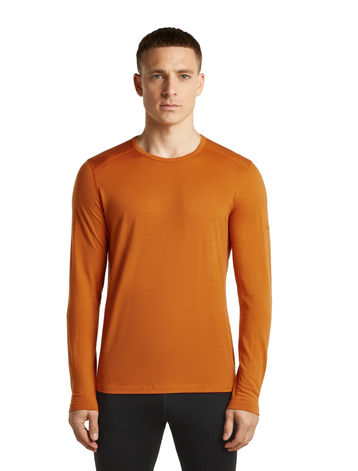 Icebreaker Merino Oasis LS Crewe 200 thermal shirt Men's