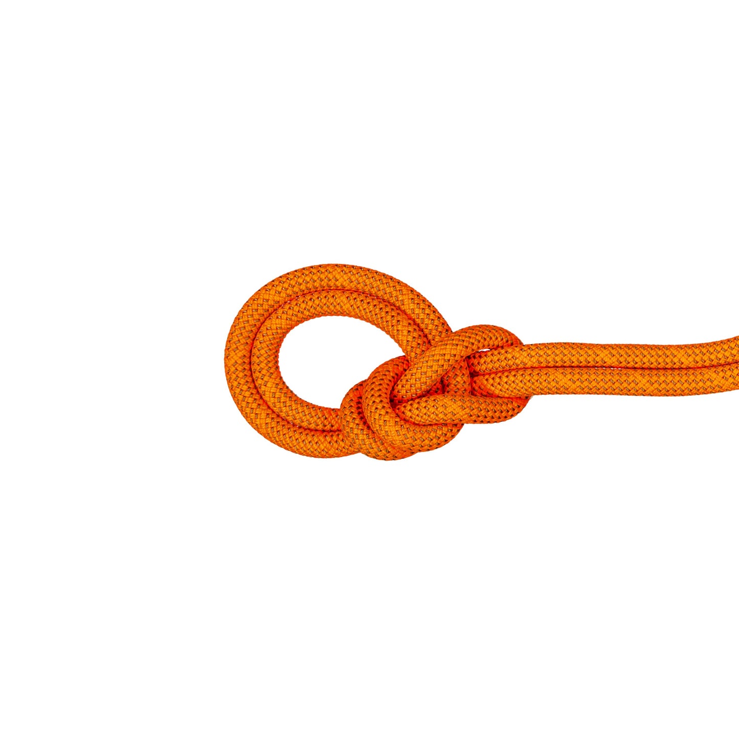 Virve Mammut Crag Dry 9.8 mm