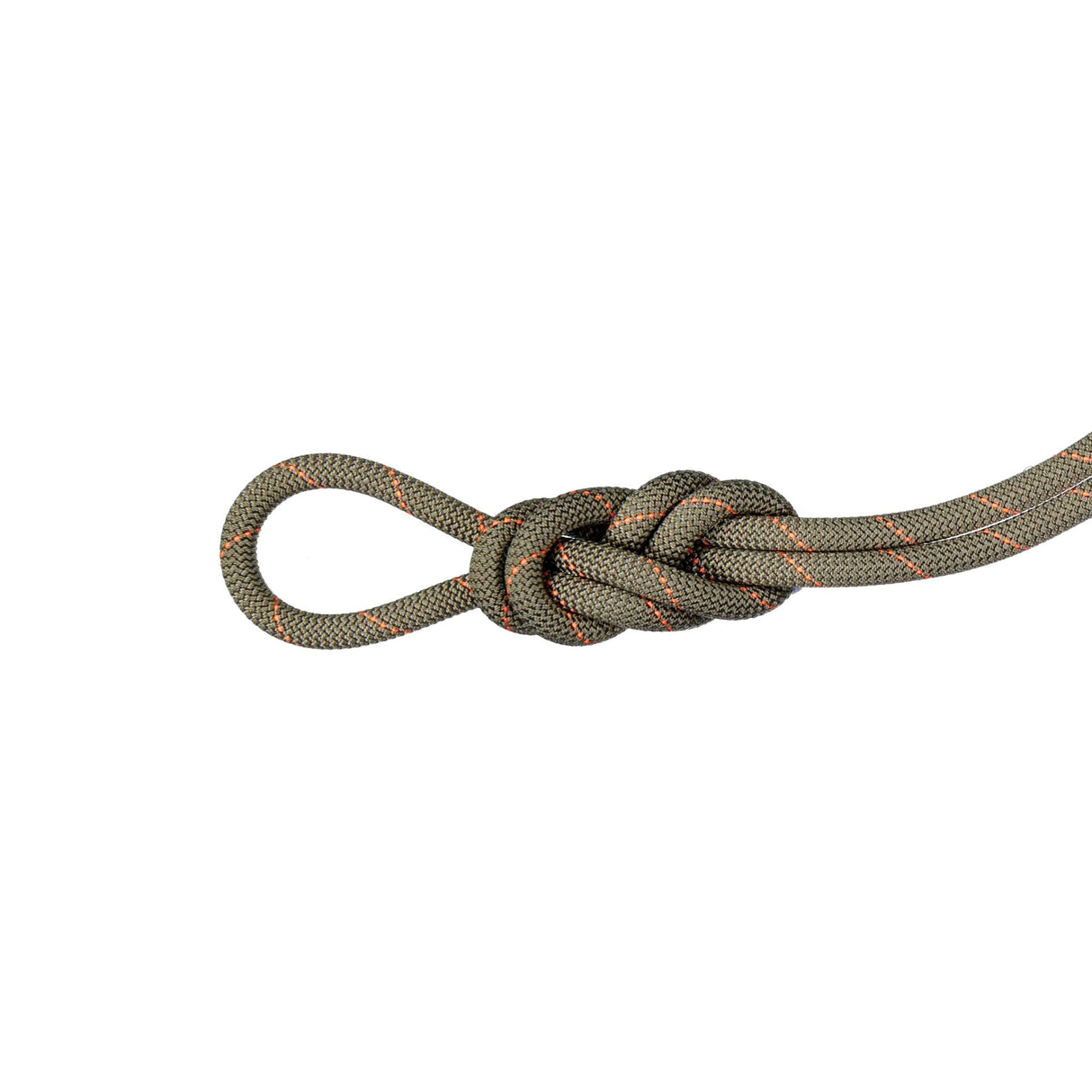 Mammut Gym Workhorse Classic 9.9 mm dinamiskā virve