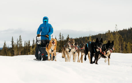 Fjällräven Polar - 30 gadi piedzīvojumu Arktikā. Piesakies 2027. gada ekspedīcijai!