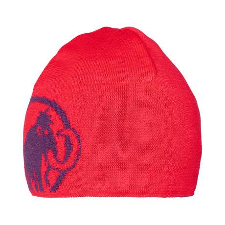 Cepure Mammut Logo Beanie