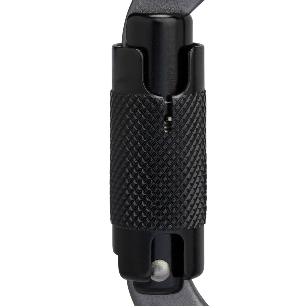 Karabīne Mammut Sender Twistlock