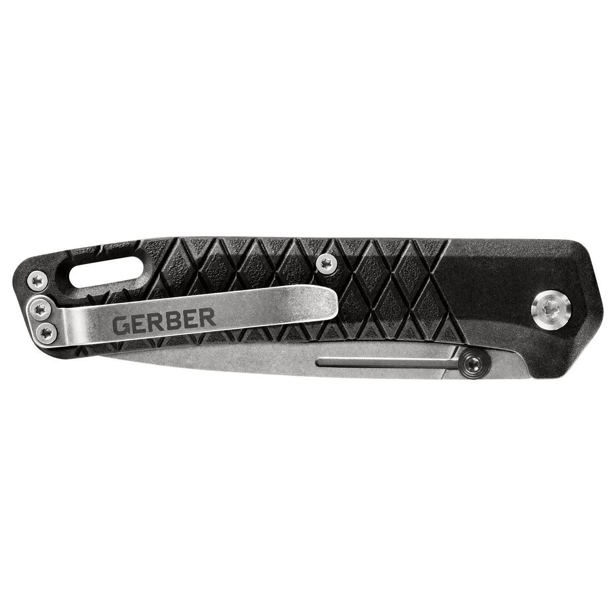 Saliekams nazis Gerber Zilch