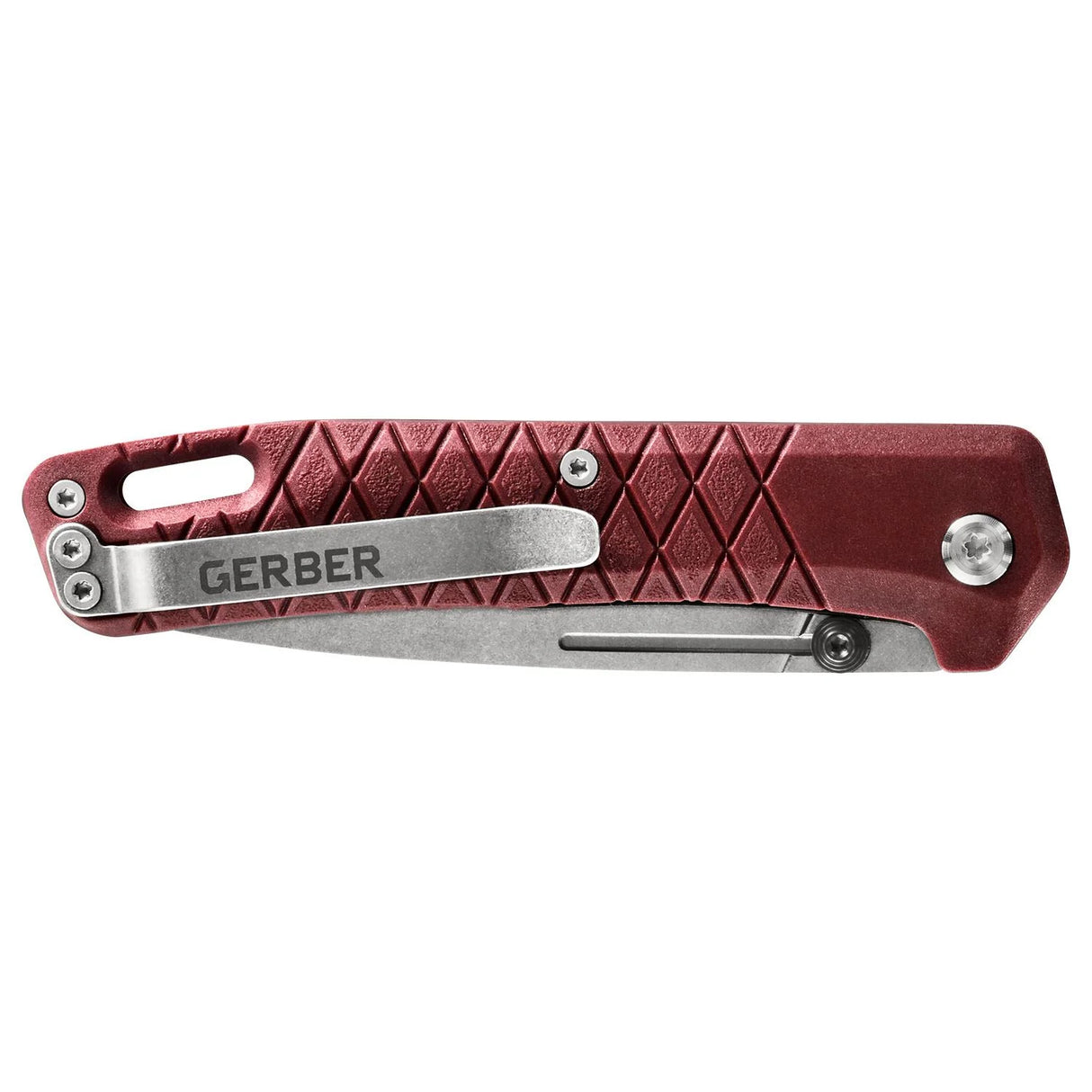 Saliekams nazis Gerber Zilch