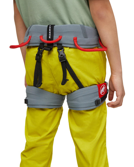 Bērnu iekare Mammut Ophir Kids 2.0