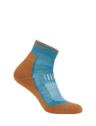Zeķes Icebreaker Hike+ Light Mini Merino vīriešu