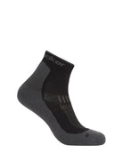 Zeķes Icebreaker Hike+ Light Mini Merino vīriešu