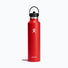 Hydro Flask termopudele 620 ml Standard Flex Straw Cap Goji