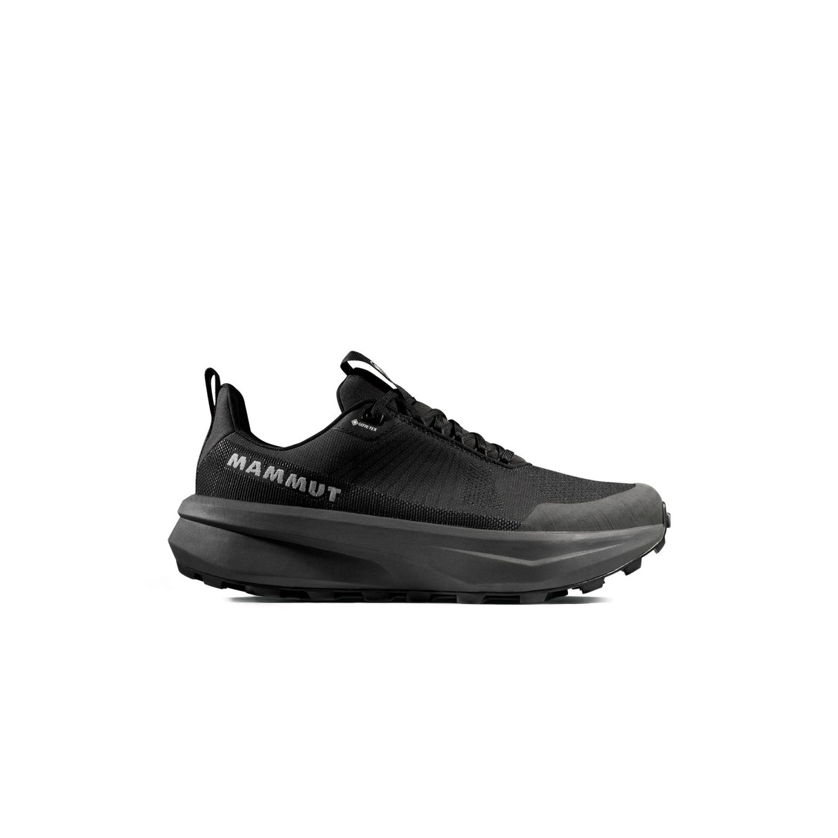 Mammut apavi Aenergy Mtn Low Gore-Tex vīriešu
