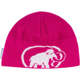 Cepure Mammut  Tweak Beanie