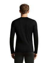 Termo veļas krekls Icebreaker Merino 200 Oasis LS Crew Rising Light vīriešu