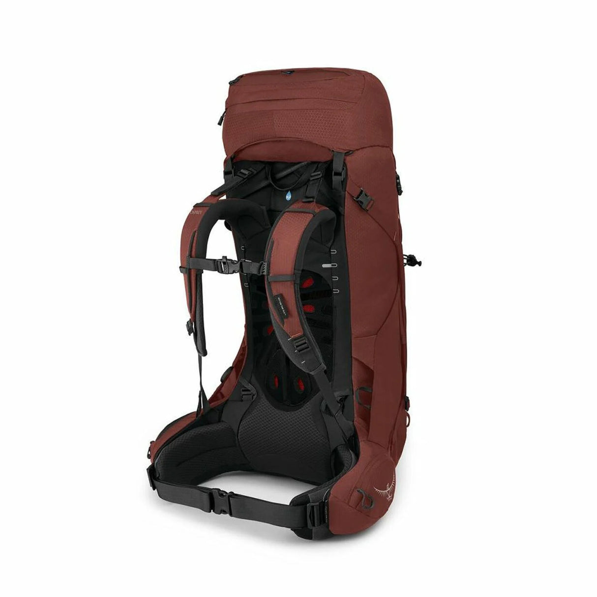 Pārgājienu mugursoma Osprey Aether™ 55