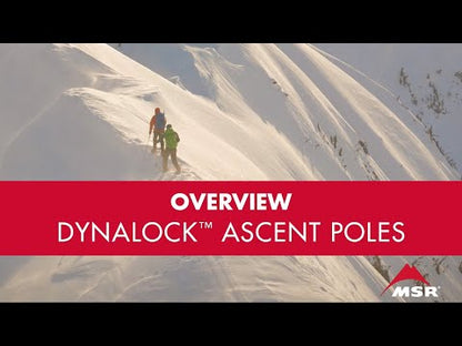 MSR trekking poles DynaLock Ascent