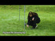 Coleman nojume Fastpitch Onepush Shelter L