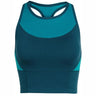 Sporta krūšturis Icebreaker Meld Zone Long Sport Bra sieviešu Kingfisher Arctic Teal XS