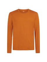 Icebreaker Merino Oasis LS Crewe 200 thermal shirt Men's